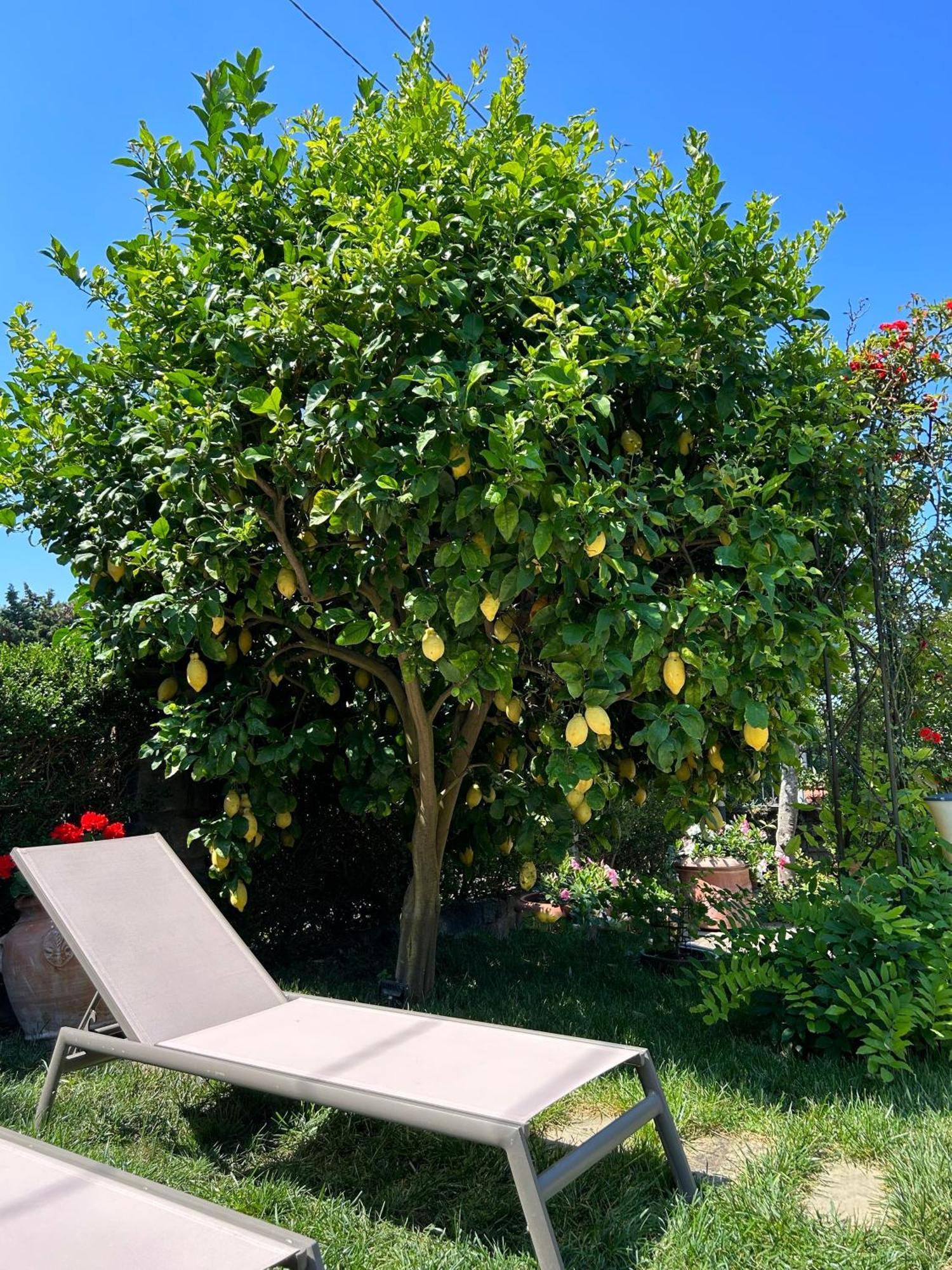 Maison Villa Angela SantʼAgata sui Due Golfi Zewnętrze zdjęcie